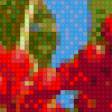 Предпросмотр схемы вышивки «калина» (№740444)