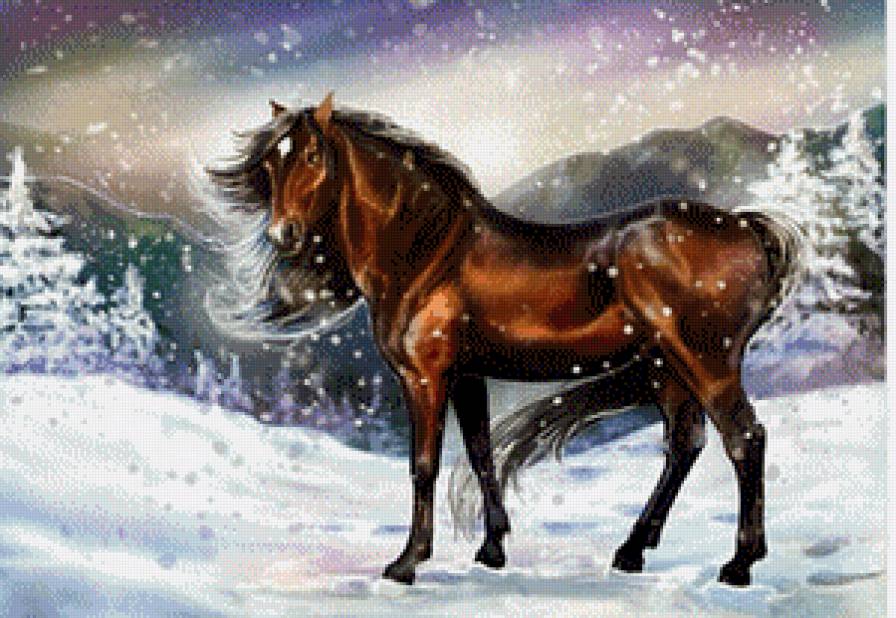 №740781 - предпросмотр