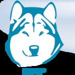 маламут - оригинал