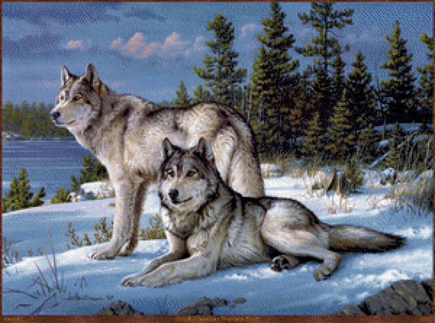 №740946 - животные, волки - предпросмотр