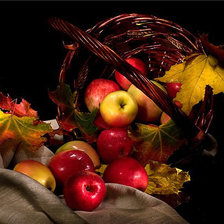 Схема вышивки «урожай»