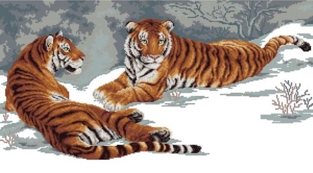 Тигры - тигры, животные - оригинал