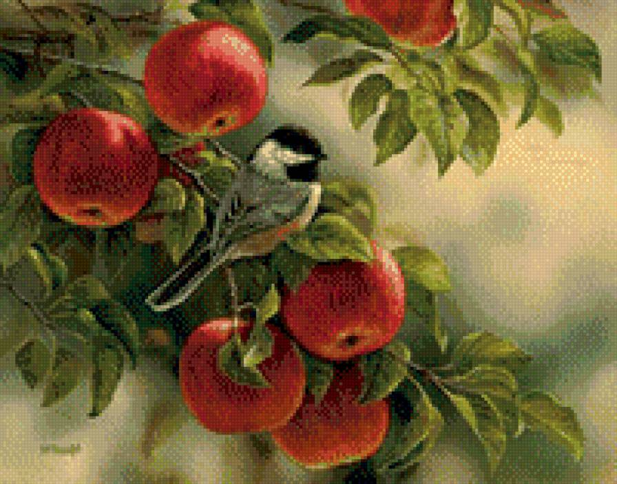 Птицы - деревья, природа, яблоки, птицы - предпросмотр