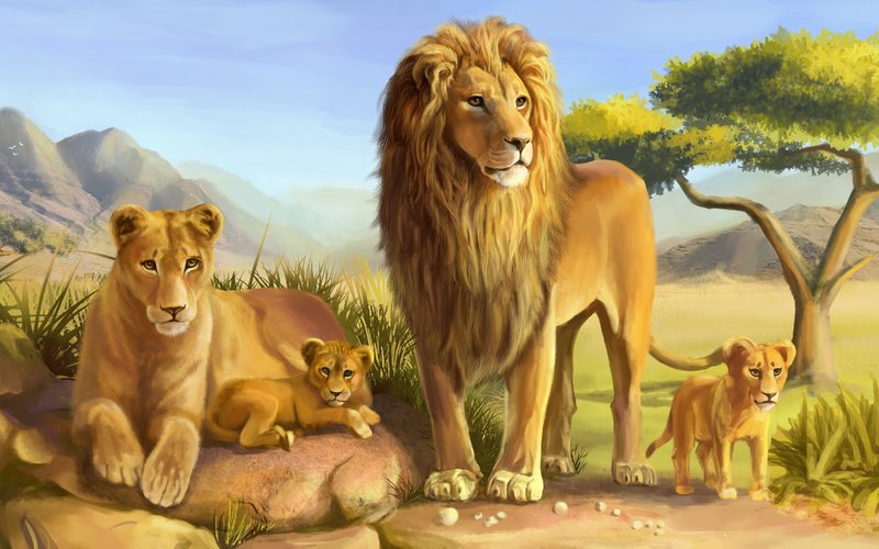 №741129 - львы, животные, тигры - оригинал