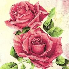 Схема вышивки «Розы»
