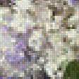 Предпросмотр схемы вышивки «Сирень» (№741189)
