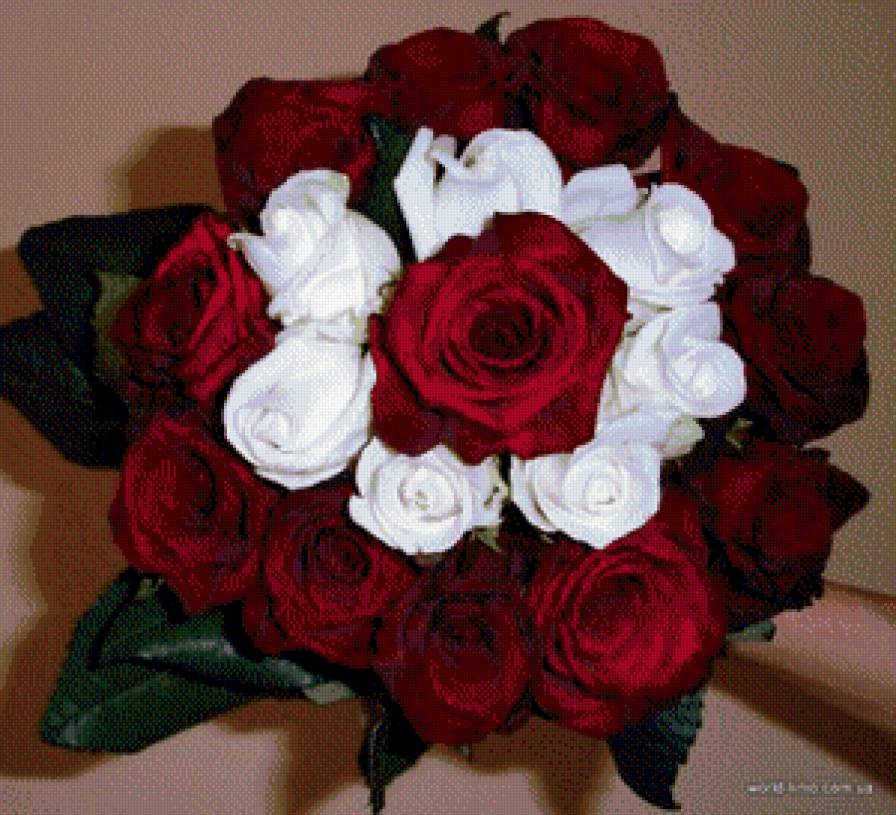 №741402 - розы, букетик, цветы - предпросмотр