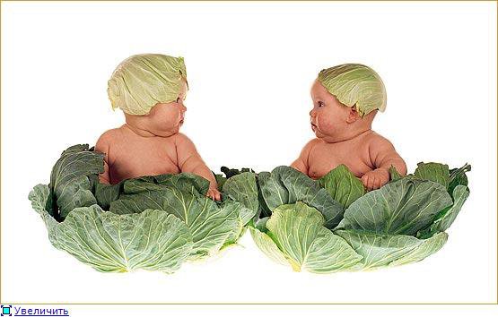 Малышы в капусте - малыш, любовь, ребенок, нежность - оригинал
