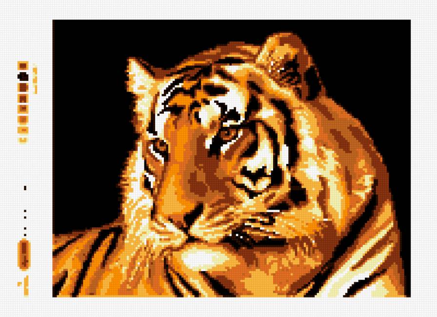 Тигр - животные, тигры - предпросмотр