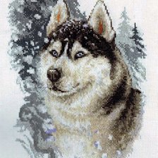Оригинал схемы вышивки «волк» (№741603)
