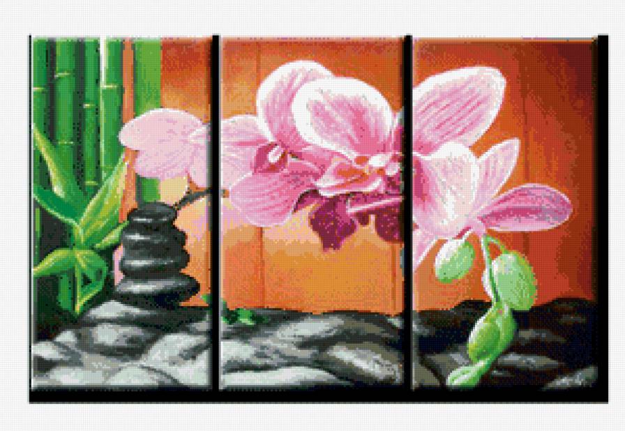 триптих "орхидеи" - орхидеи - предпросмотр