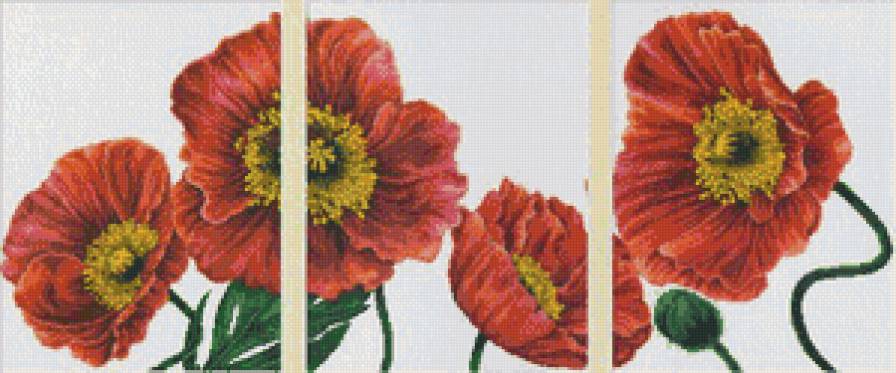 триптих "маки" - цветы, маки - предпросмотр