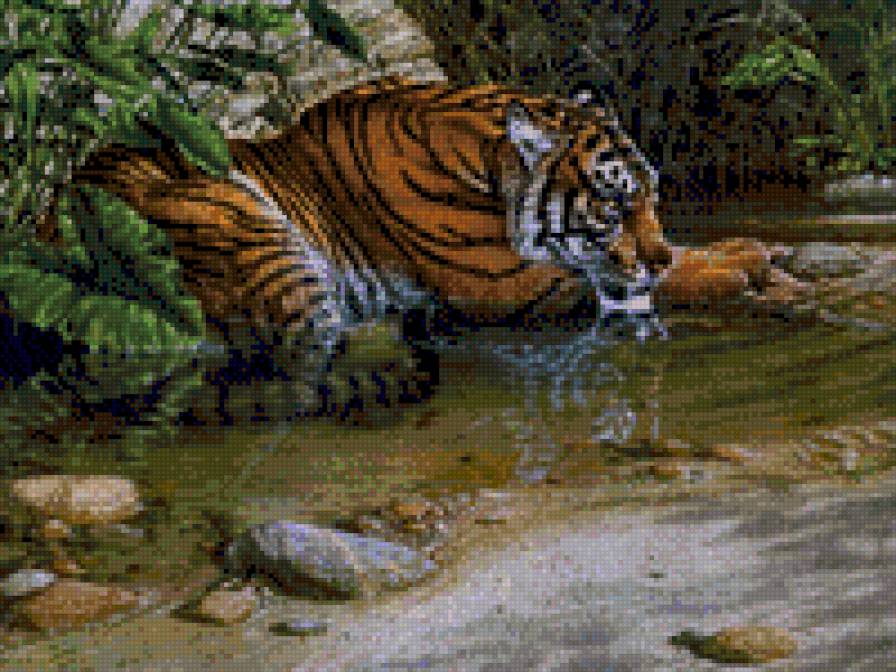 Тигр - животные, тигры, река - предпросмотр