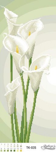 Каллы - каллы, цветы - оригинал