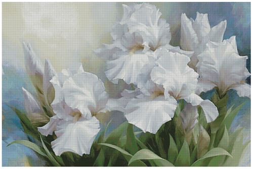 Ирис правый 1часть - ирис, цветы - оригинал