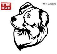 Схема вышивки «аусси»