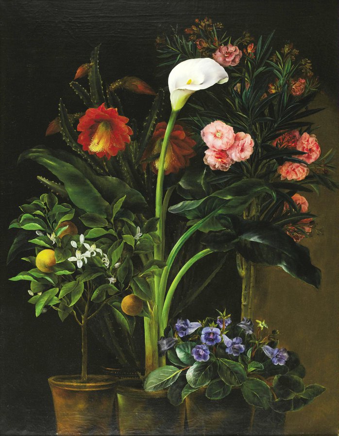 сад на подоконнике - оригинал