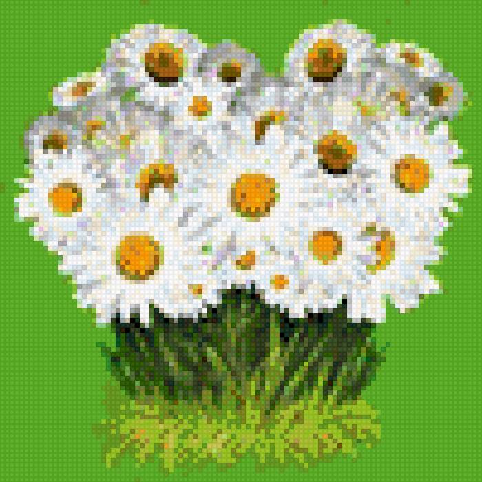 ромашки - предпросмотр