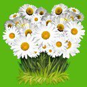 Схема вышивки «ромашки»