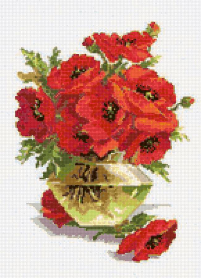 Маки - цветы, маки - предпросмотр