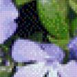 Предпросмотр схемы вышивки «БАРВІНОК» (№741901)