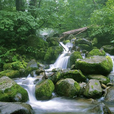 Схема вышивки «Лес»