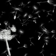 Схема вышивки «Diente de Leon»