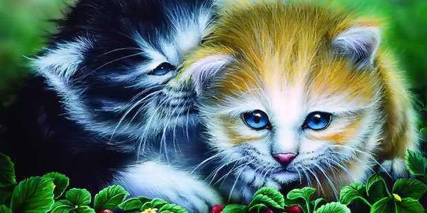 котенок - животные, кошки - оригинал