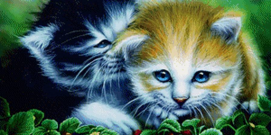 котенок - животные, кошки - предпросмотр