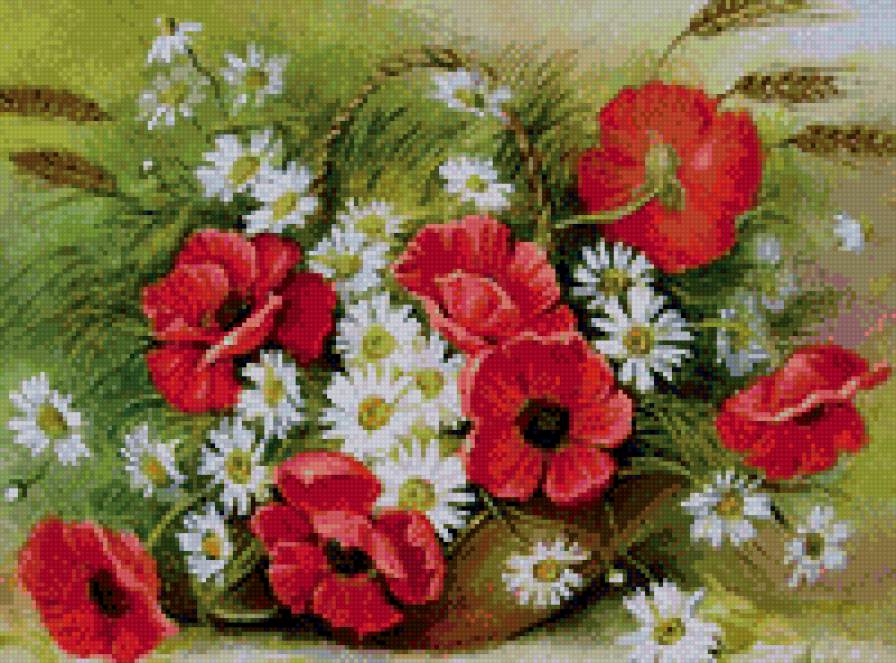 Маки и ромашки - маки, ромашки, цветы - предпросмотр