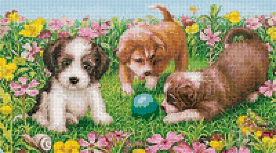 Щенки - собака, щенки, живитные - предпросмотр