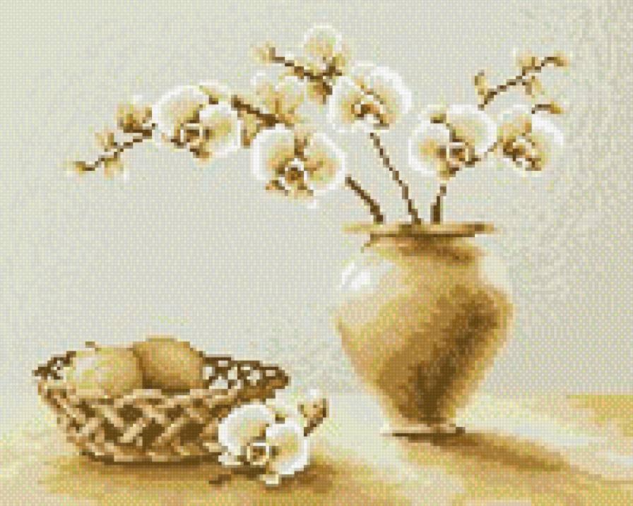 Орхидеи - орхидеи, цветы - предпросмотр