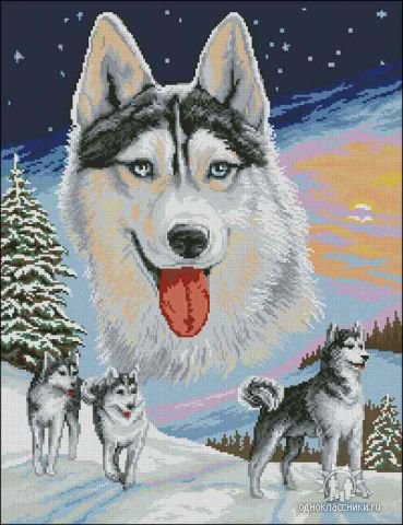 Собаки - собака, живитные - оригинал