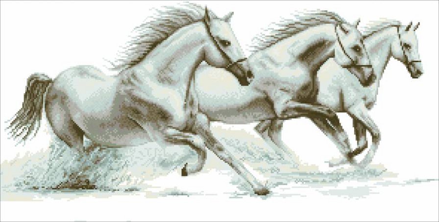 Лошади - лошади, кони, животные - оригинал