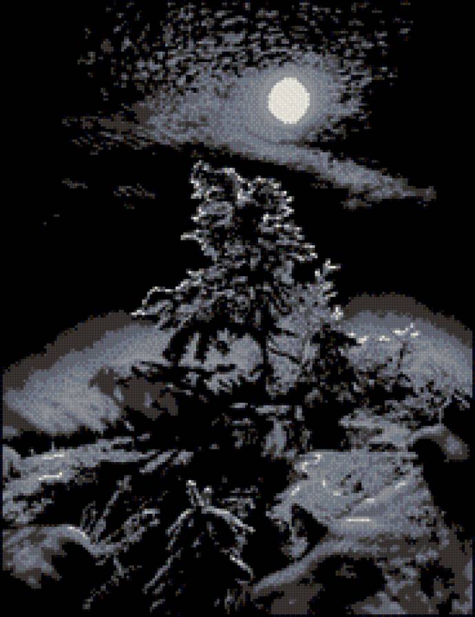 ночеой лес - природа, ночеой лес - предпросмотр