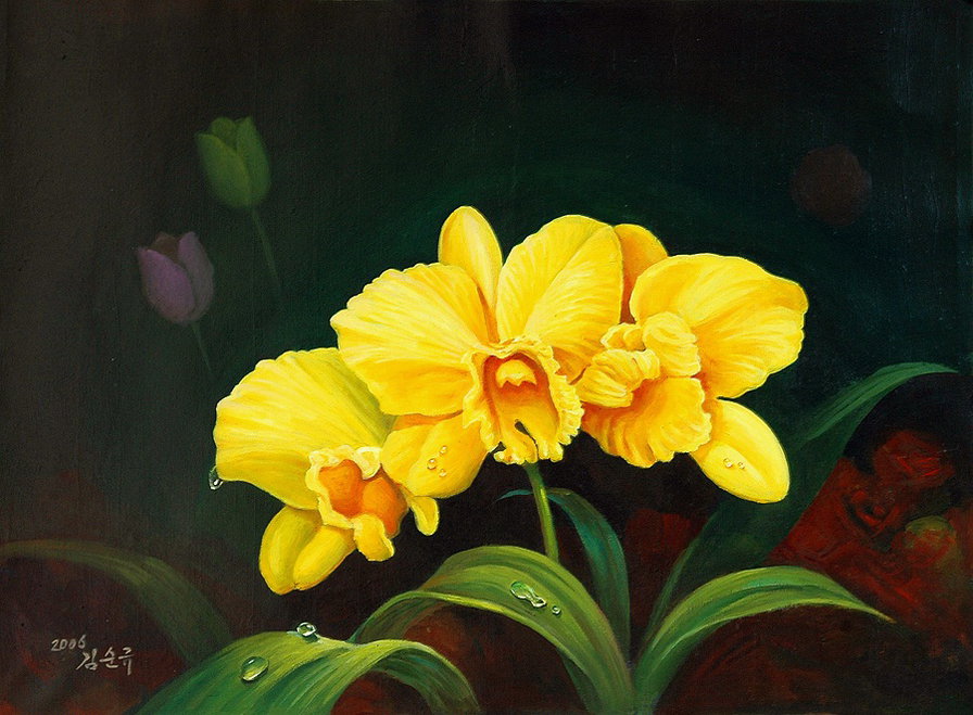 орхидея - орхидеи, желтый, цветы - оригинал