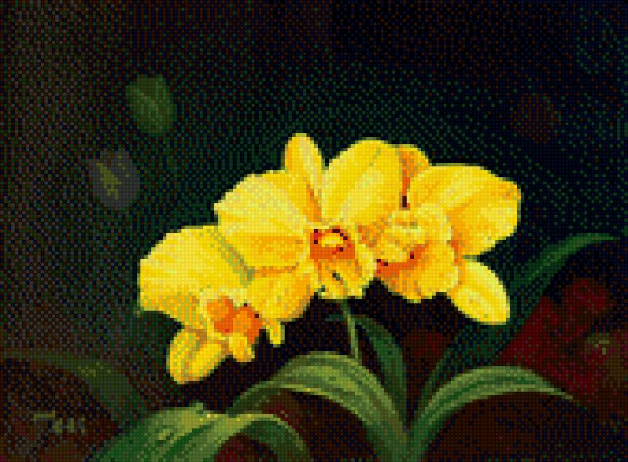 орхидея - желтый, цветы, орхидеи - предпросмотр