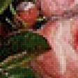 Предпросмотр схемы вышивки «№742772»