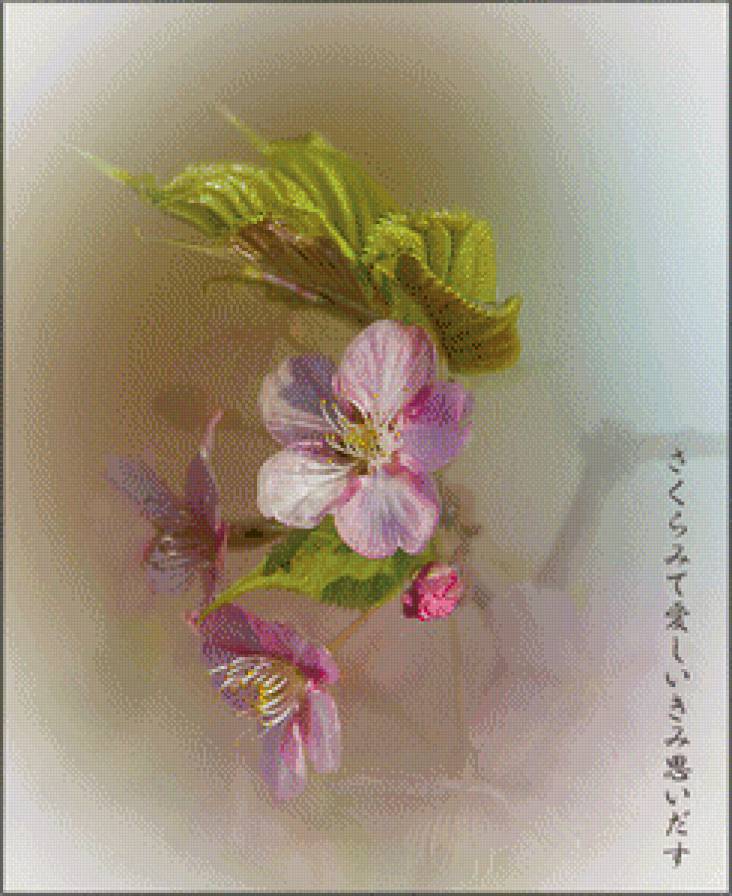 сакура - цветы - предпросмотр