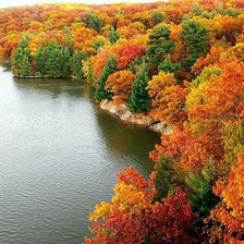 Схема вышивки «осень»
