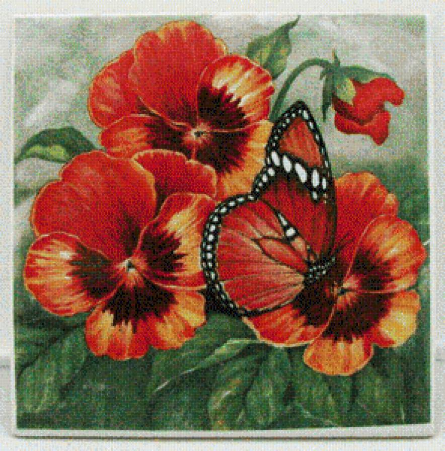 бабочка на цветах - цветы - предпросмотр