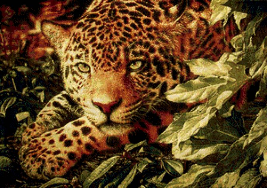 леопард - дикие животные - предпросмотр