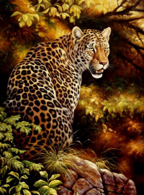 леопард - дикие животные - оригинал