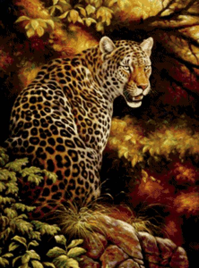 леопард - дикие животные - предпросмотр