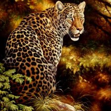 Схема вышивки «леопард»