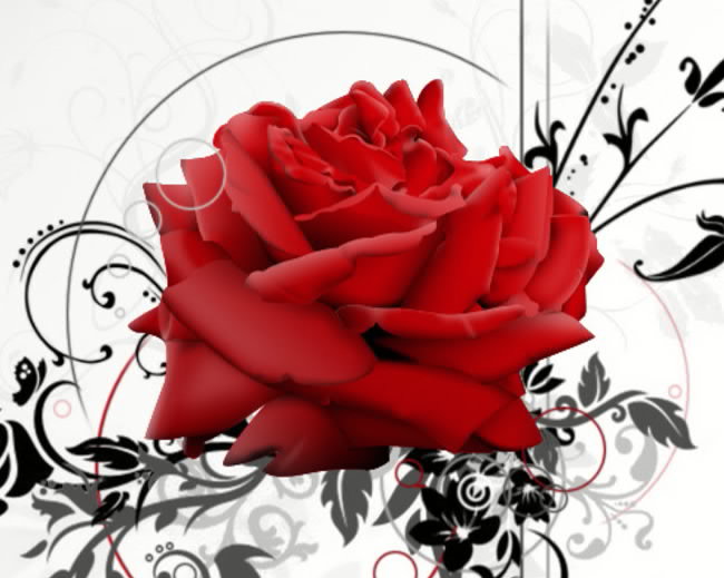 роза - розы, роза - оригинал