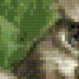 Предпросмотр схемы вышивки «котенок» (№743701)