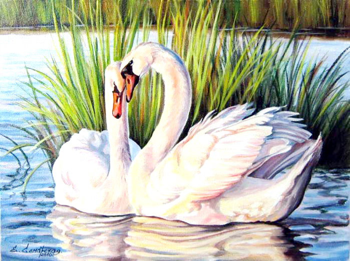 лебеди - оригинал