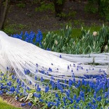 Схема вышивки «Белый павлин»