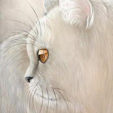 Схема вышивки «белая кошка»